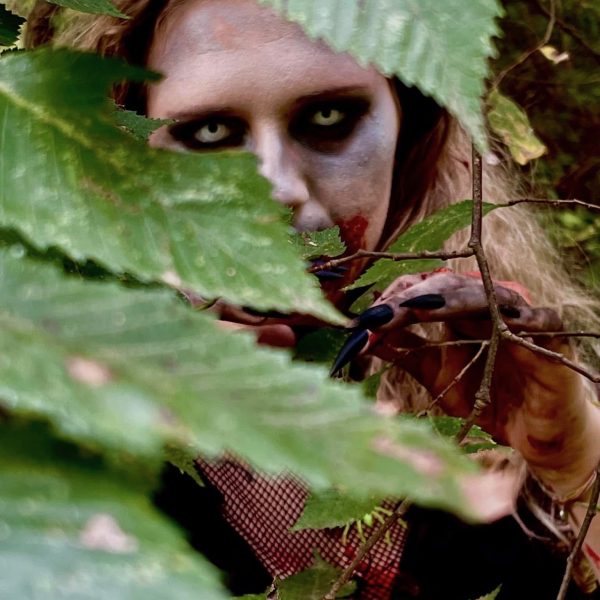 Whispers behind a bush in Vernon Florida